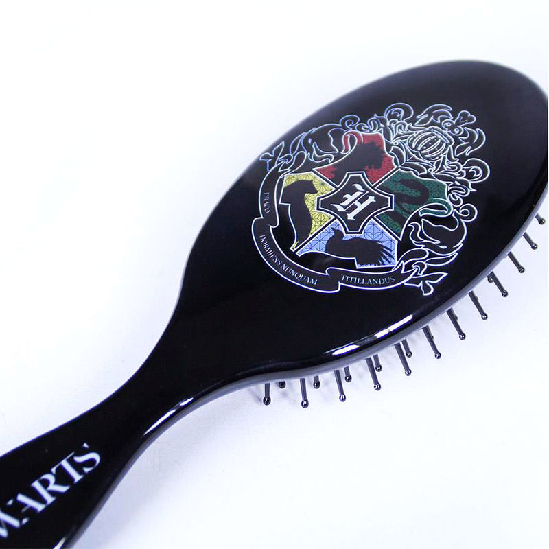 Harry Potter Hogwarts hairbrush