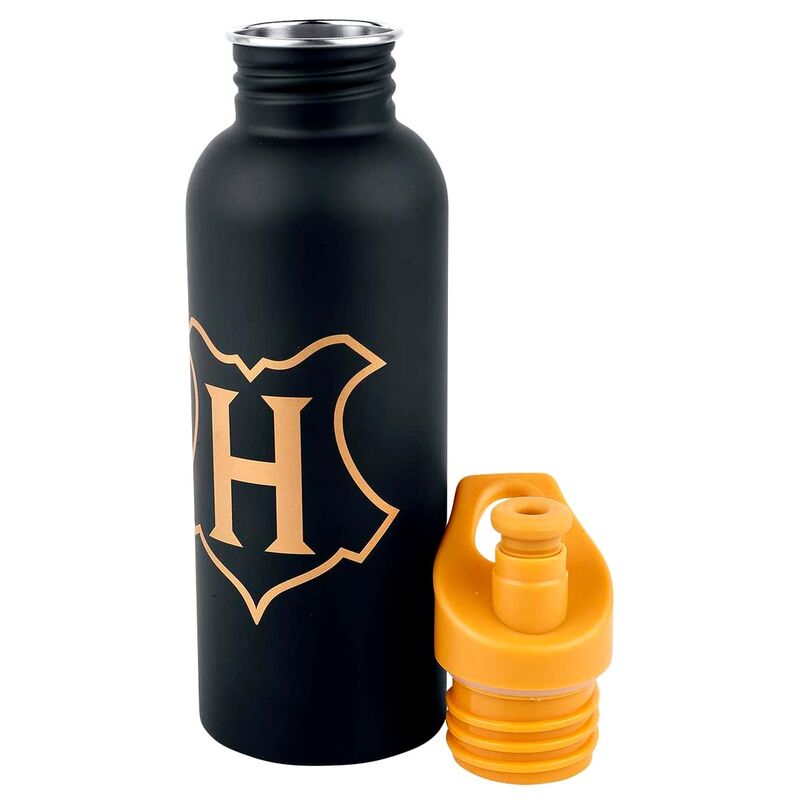 Harry Potter Hogwarts bottle