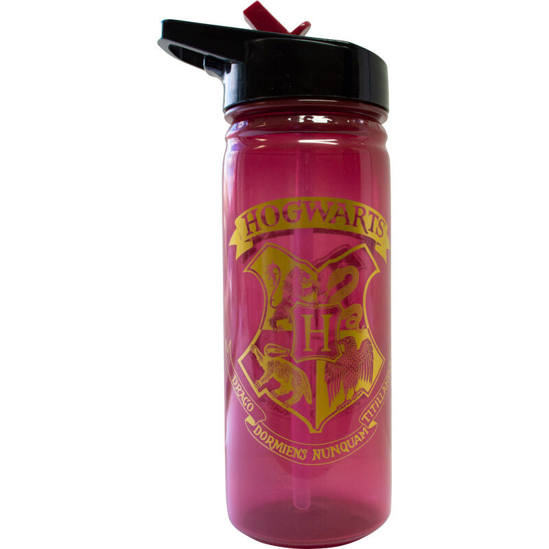 Harry Potter Hogwarts bottle 600ml