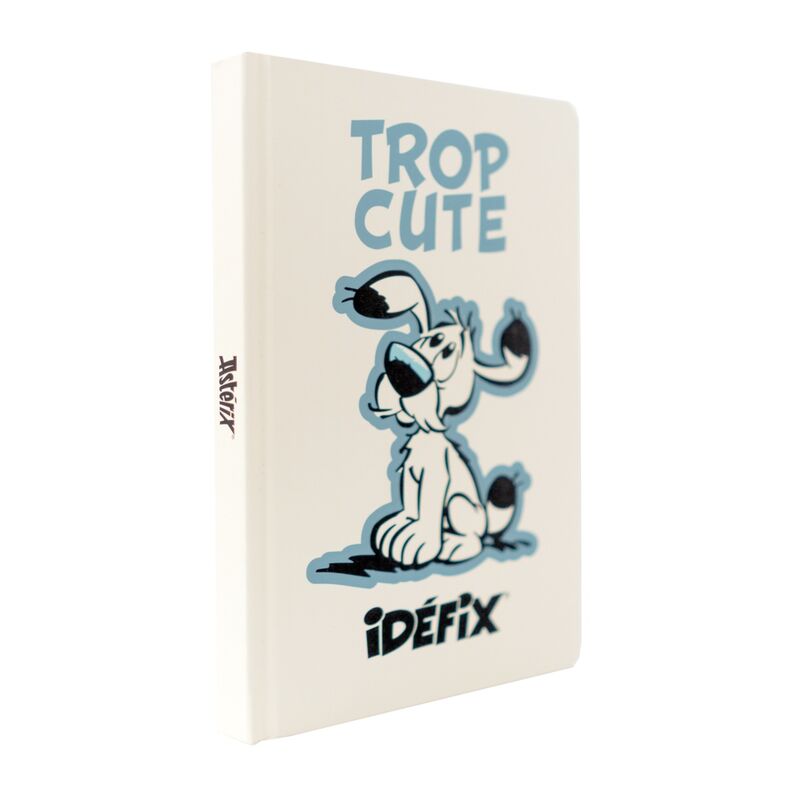 Asterix and Obelix - Ideafix A5 premium notebook